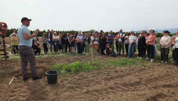 Balıkesir’de Bahçıvanlık Kursu’na değişik illerden 70 kişi katıldı